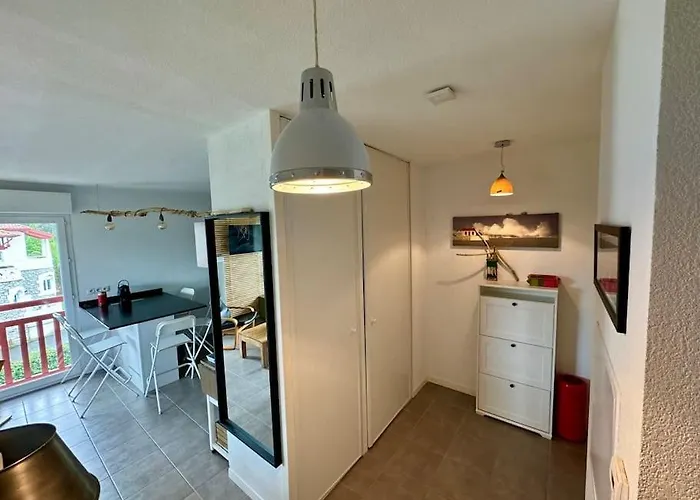 Apartment Grand - Piscine - Plage- Terrasse Saint-Jean-de-Luz